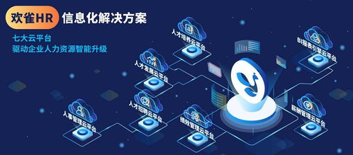 歡雀科技通過CMMI3認證，軟件研發(fā)能力獲國際權威機構認可