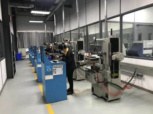 問需于企，精準服務 走進物聯網應用服務領域的雙星